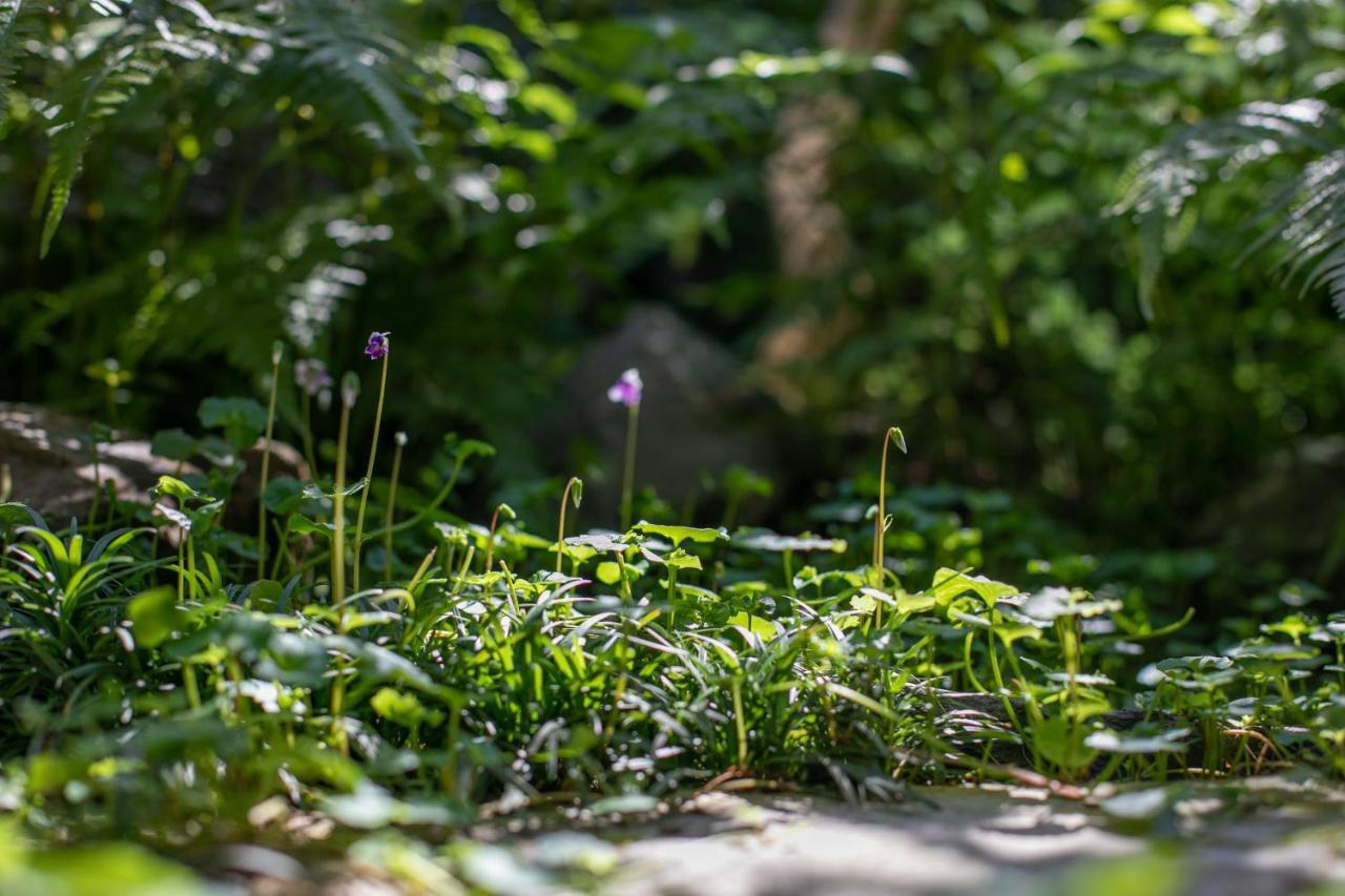Higurashi-Sou Hotel Kyoto Luaran gambar